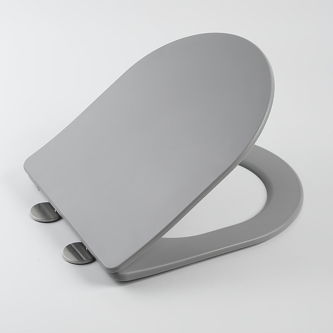 Arezzo Matt Grey Rimless Back to Wall Toilet + Soft Close Seat  Profile Large Image