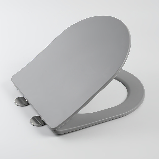 Arezzo Matt Grey Rimless Back to Wall Toilet + Soft Close Seat Profile Large Image