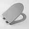 Arezzo Matt Grey Rimless Back to Wall Toilet + Soft Close Seat Profile Large Image