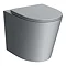 Arezzo Matt Grey Rimless Back to Wall Toilet incl. Soft Close Seat Feature Large Image