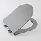 Arezzo Matt Grey Rimless Wall Hung Toilet incl. Soft Close Seat Profile Large Image