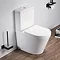 Arezzo Matt White BTW Close Coupled Toilet + Soft Close Seat Large Image