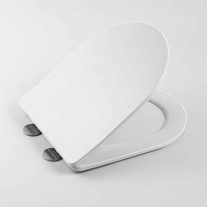 Arezzo Matt White Rimless Back to Wall Toilet + Soft Close Seat  Feature Large Image