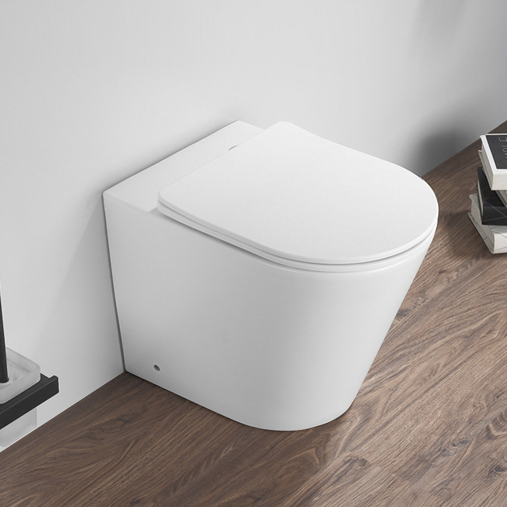 Arezzo Matt White Rimless Back to Wall Toilet Soft Close Seat