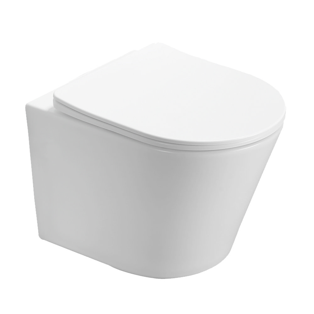 Arezzo Matt White Rimless Wall Hung Toilet incl. Soft Close Seat