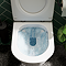 Arezzo Matt White Rimless Wall Hung Toilet with Soft Close Seat