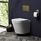 Arezzo Matt White Rimless Wall Hung Toilet incl. Soft Close Seat Large Image