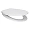 Arezzo Matt White Soft Close Toilet Seat Large Image