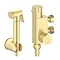 Arezzo Round Douche Thermostatic Bar Valve with Shower Spray Kit Brushed Brass