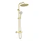 Arezzo Modern Round Thermostatic Shower (300mm Head - Brushed Brass)  Feature Large Image