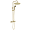 Arezzo Modern Round Thermostatic Shower (300mm Head - Brushed Brass)