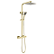 Arezzo Square Thermostatic Shower - Brushed Brass