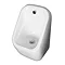 Arezzo Modern Urinal  Profile Large Image