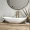 Arezzo Oval Counter Top Basin (620mm Wide - Matt White)  Feature Large Image