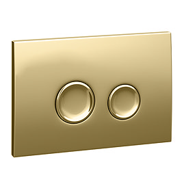 Arezzo Polished Gold Round Button Flush Plate