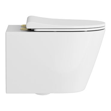 Arezzo Rimless Wall Hung Toilet (incl. Slim Soft Close Seat with Brushed Brass Hinges)