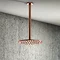 Arezzo Rose Gold 195mm Thin Round Shower Head + 300mm Ceiling Mounted Arm Large Image