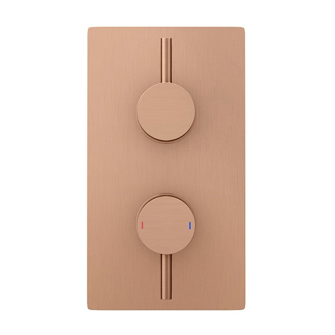 Arezzo Rose Gold Round Modern Twin Concealed Shower Valve with Diverter  Standard Large Image