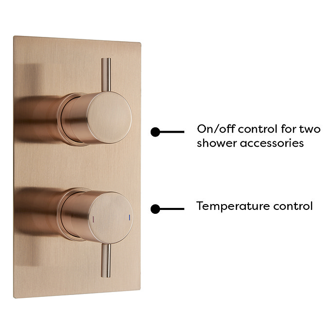 Arezzo Rose Gold Round Shower System with Twin Valve with Diverter, Wall Mounted Head + Handset  Profile Large Image