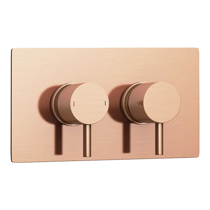 Arezzo Rose Gold Round Shower System with Twin Valve with Diverter, Wall Mounted Head + Handset  Standard Large Image