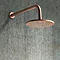 Arezzo Round 195mm Rose Gold Fixed Shower Head + Wall Mounted Arm Large Image
