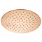 Arezzo Round 200mm Brushed Bronze Fixed Shower Head + Wall Mounted Arm  Profile Large Image