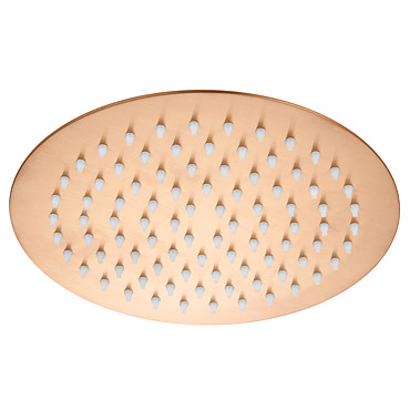 Arezzo Round 200mm Brushed Bronze Fixed Shower Head  Profile Large Image