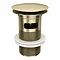 Arezzo Round Brushed Brass Click Clack Basin Waste + Bottle Trap Pack  Profile Large Image