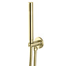 Arezzo Round Brushed Brass Outlet Elbow with Parking Bracket, Flex & Handset
