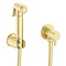 Arezzo Round Douche Shower Spray Kit with Shut-Off Valve Brushed Brass 