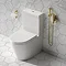 Arezzo Round Douche Shower Spray Kit with Wall Bracket and Hose Brushed Brass