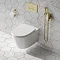 Arezzo Round Douche Shower Spray Kit with Wall Bracket and Hose Brushed Brass