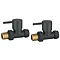 Arezzo Round Straight Radiator Valves incl. Curved Angled Pipes - Anthracite  Profile Large Image