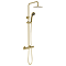 Arezzo Round Thermostatic Shower - Brushed Brass