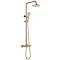 Arezzo Round Thermostatic Shower - Brushed Bronze | Victorian Plumbing UK