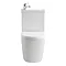 Arezzo Space Saving Combined Two-In-One Wash Basin + Rimless Toilet  Profile Large Image