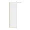 Arezzo Square Brushed Brass Frameless 10mm Wetroom Screen with Wall Mounted Arm 700mm