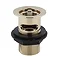 Arezzo Square Brushed Brass Slotted Easy Clean Click Clack Basin Waste Profile Large Image