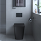 Arezzo Square BTW Rimless Toilet with Soft Close Seat Matt Black