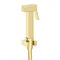 Arezzo Square Douche Shower Spray Kit with Wall Bracket and Hose Brushed Brass