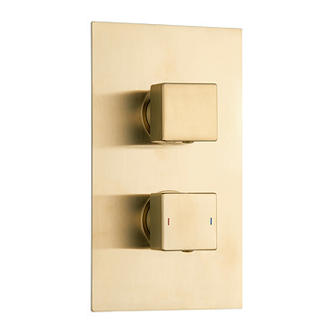 Arezzo Square Modern Twin Concealed Shower Valve with Diverter - Brushed Brass  Profile Large Image