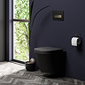 Arezzo Toilet Cistern Frame for Wall Hung Pans with Matt Black and Brushed Brass Dual Flush Plate feat. Square Buttons