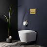 Arezzo Toilet Cistern Frame with Brushed Brass Dual Flush Plate for Wall Hung Pans - Square Buttons