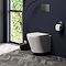 Arezzo Toilet Cistern Frame with Brushed Gunmetal Grey Dual Flush Plate for Wall Hung Pans - Round Buttons