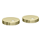 Arezzo Toilet Seat Hinge Cover Caps Brushed Brass - Diameter 46mm