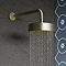 Arezzo Traditional 195mm Shower Head with Wall Mounted Arm - Brushed Brass