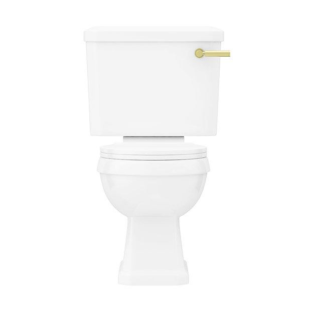 Arezzo Traditional Toilet with Brushed Brass Lever  Newest Large Image