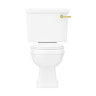 Arezzo Traditional Toilet with Brushed Brass Lever  Newest Large Image