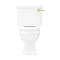 Arezzo Traditional Toilet with Brushed Brass Lever  Newest Large Image