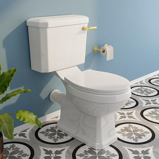 Arezzo Traditional Toilet with Brushed Brass Lever